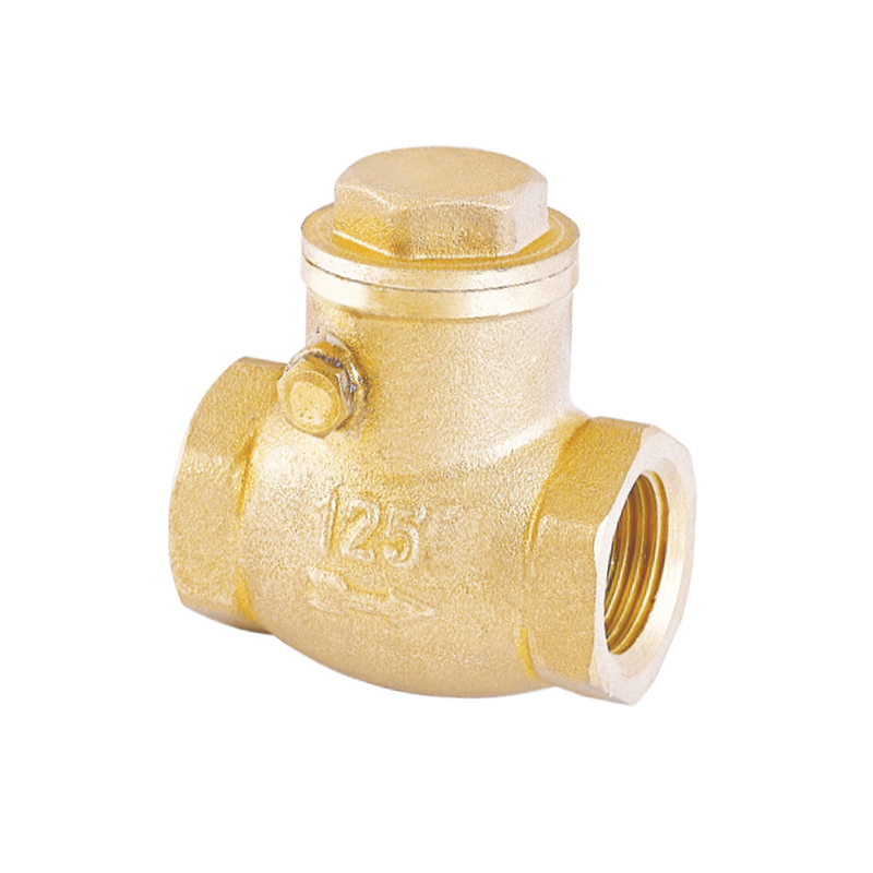 さびない1つの方法水逆止弁32mm 22mm非帰り弁